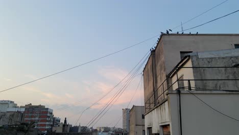 buenos aires argentina outskirts neighbourhood south america authentic locals living
