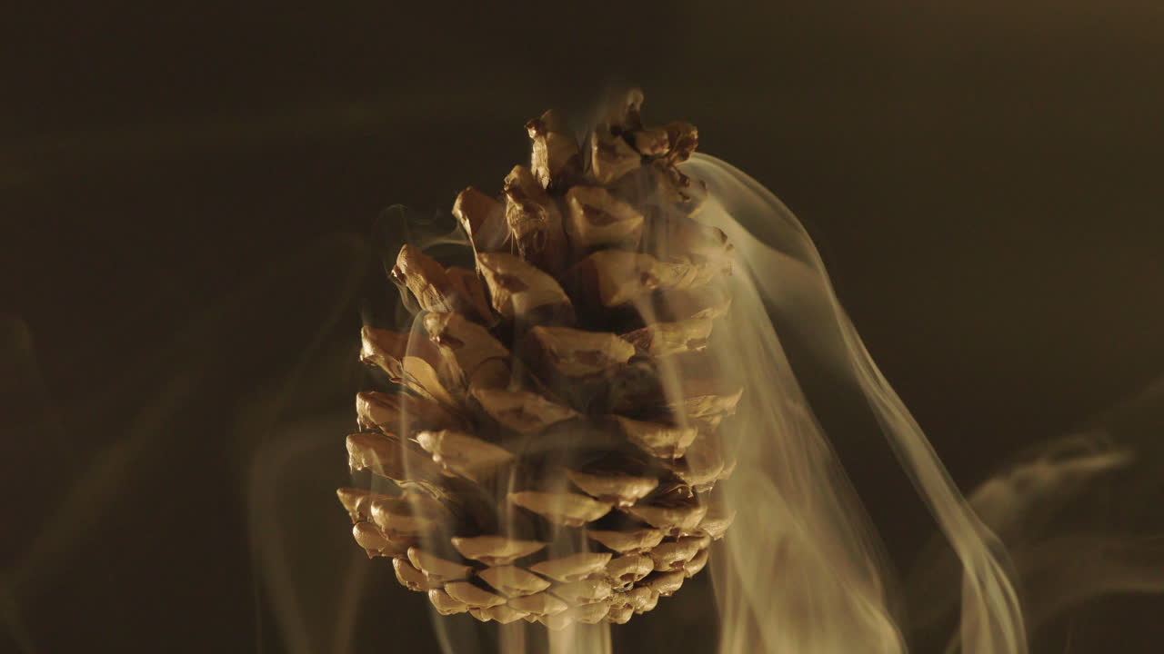 연기 흐름이 있는 송과체 - 거꾸로