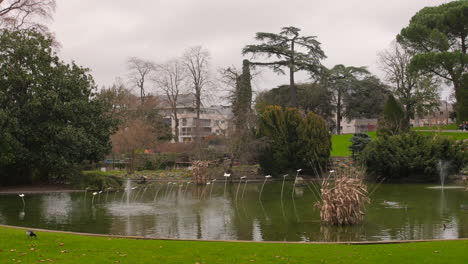 Pan-shot-over-beautiful-pond-inside-Jardin-des-plantes-d'Angers-in-Angers,-France-on-a-cloudy-day