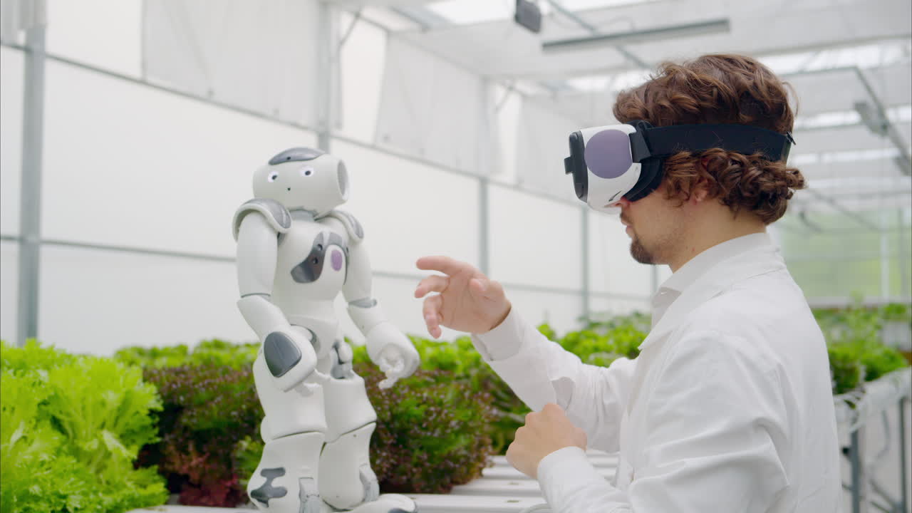 Laboratory technician in a white coat wearing virtual reality headset interacting with humanoid robot near different types of lettuce in a greenhouse farm