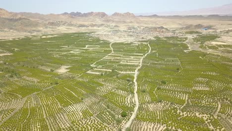 Primavera-En-La-Granja-De-Agracejo