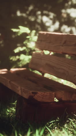 wooden bench in a sunny forest