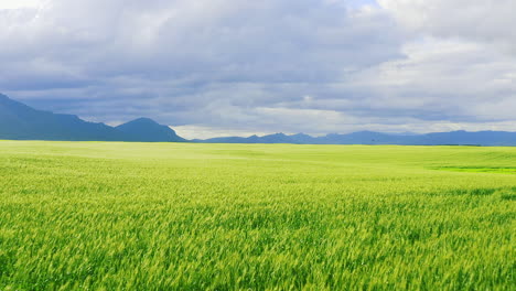 Stören-Sie-Die-Natur-Nicht