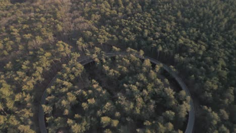 Pista-Para-Bicicletas-Redonda-Para-Llegar-A-Las-Copas-De-Los-árboles-Del-Bosque,-Vista-Aérea