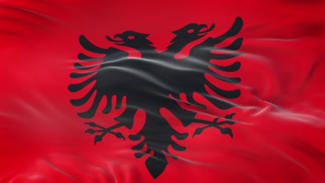 albania flag waving in the wind with highly detailed fabric texture. seamless loop