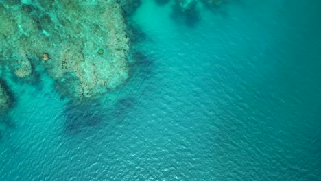 Bird's-eye-view-over-large-coral-reef-near-Isle-of-Pines,-New-Caledonia