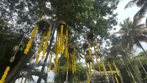 marigold flowers hanging on the tree at hindu wedding. - low angle shot