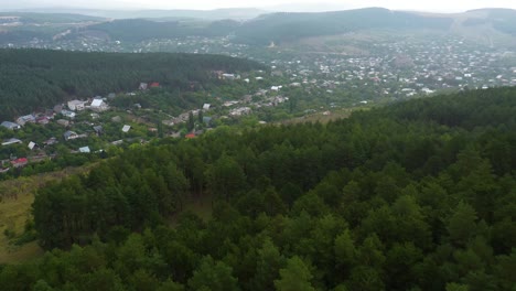 Drone-View-Of-Dense-Foliage-In-Mountain-Forest-In-Sairme,-Georgia
