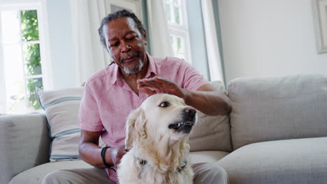 Un-Hombre-Mayor-Sentado-En-Un-Sofá-En-Casa-Con-Un-Perro-Labrador-Como-Mascota