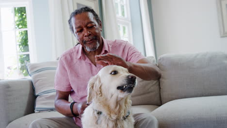 senior man sitting on sofa at home with pet labrador dog