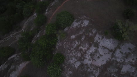 Birds-eye-view-shot-of-a-rocky-cliff-edge-with-a-dense-forest-below