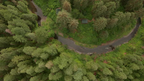 Top-down-aerial-shot-following-a-winding-river-through-a-forest