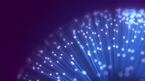 fiber optics close-up