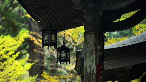 lampions moviéndose en el viento bajo el techo de un templo japonés