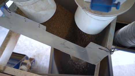 Machine-Separating-Hemp-Seeds-From-Other-Weeds---close-up