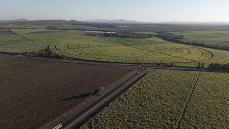 Drone-view-of-Sugarcane-and-pepper-farms-in-a-patchwork-quilt,-divided-by-a-main-road-with-vehicles-driving-towards-a-T--junction