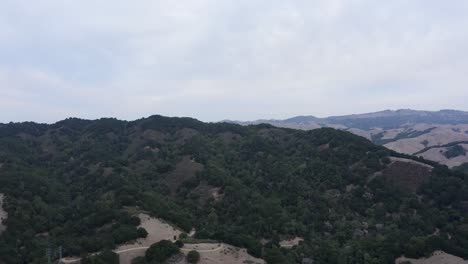 Forest-and-river-along-the-cloudy-day