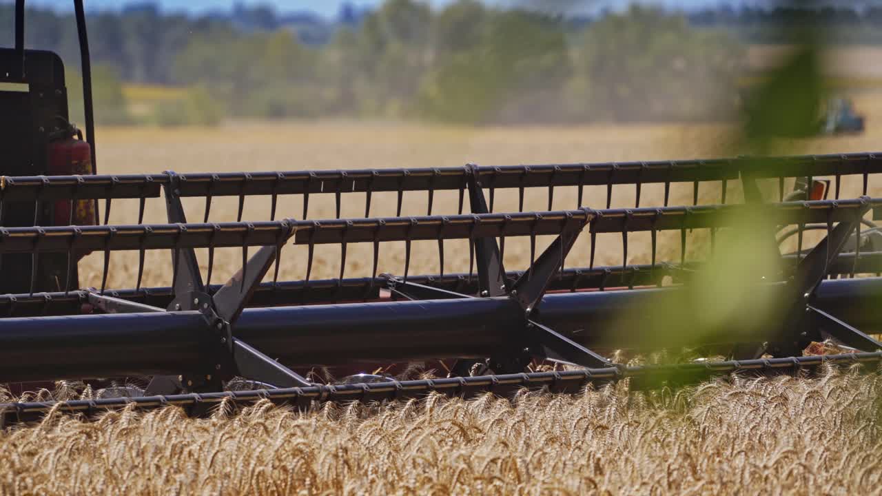 Close-up modern combine machine moving in dust. Detail of combine equipment cutting wheat blades on the field in the countryside. Concept of harvesting.