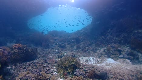 Let-the-ride-take-you-on-through-a-fantastic-swim-through-in-Raja-Ampat-surrounded-by-colorful-reef-fish