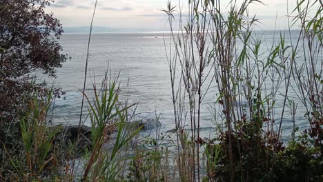 Olas-En-La-Costa-Del-Norte-De-Italia-Con-Plantas-Y-árboles-En-Primer-Plano