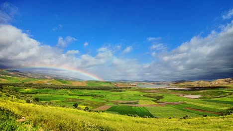 rainbow over bright green field in north africa morocco agriculture land