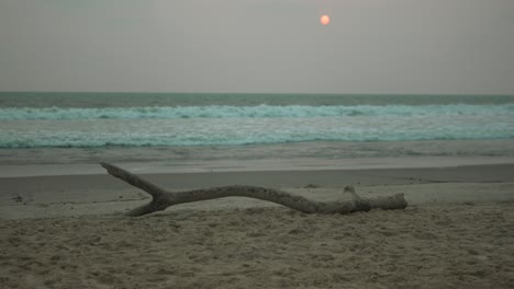 sunset casts a fiery glow on bioluminescent waves with a lone driftwood on a sandy beach