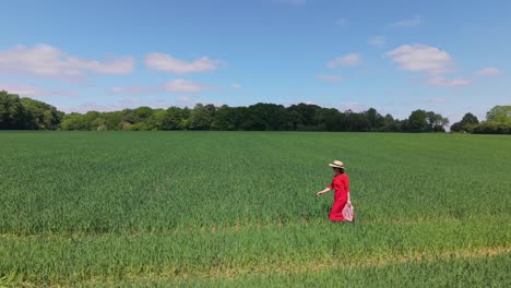 Cinematic drone orbit following a woman in red as she walks into a lush green field, capturing the beauty and serenity of the countryside