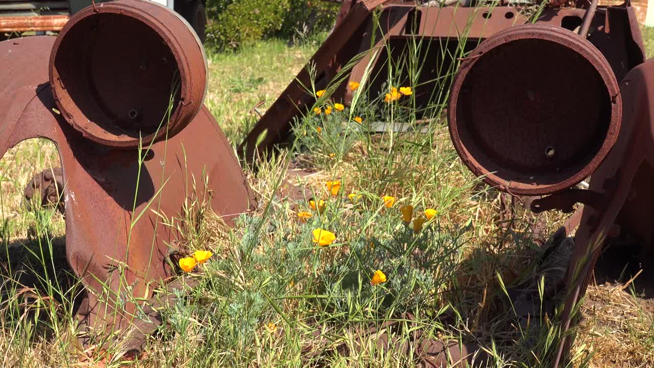 En gammel bil står forladt og ruster på en ranch i Santa Ynez-bjergene i Californien 2