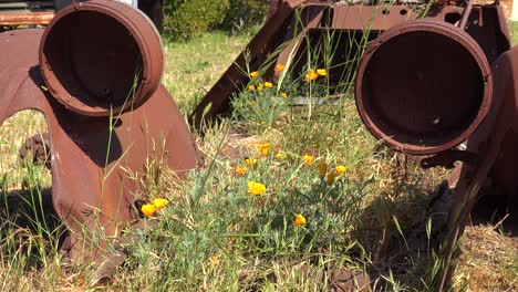 An-Old-Car-Sits-Abandoned-And-Rusting-On-A-Ranch-In-Santa-Ynez-Mountains-Of-California-2