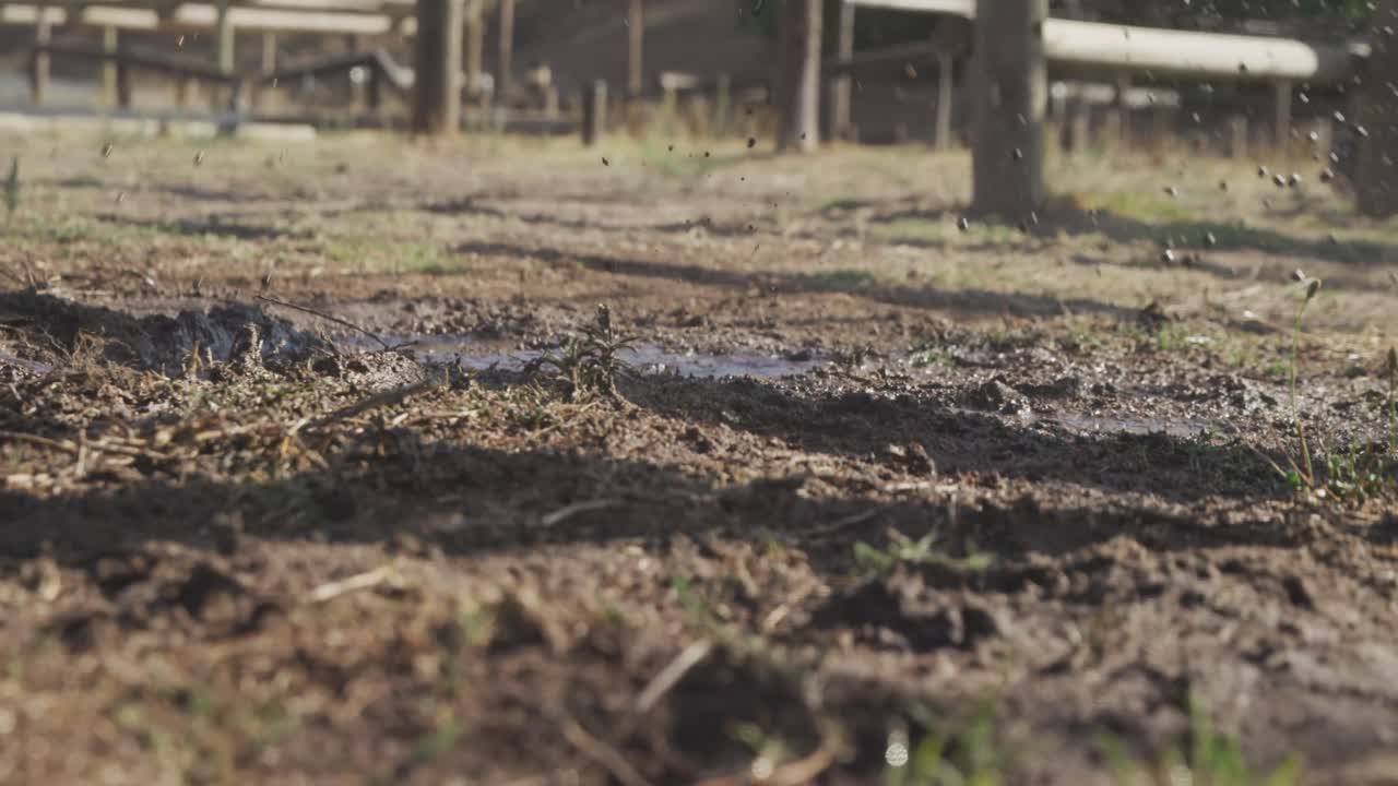 grupo de niños caucásicos entrenando en un campamento de entrenamiento