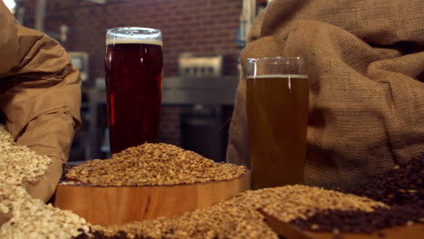 panning shot of beers and hop grains