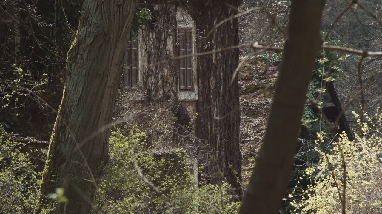 울창한 나무 숲 속에 숨겨진 버려진 외딴 집들, 팬