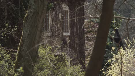 abandoned derelict homes hidden deep in dense tree forest, pan