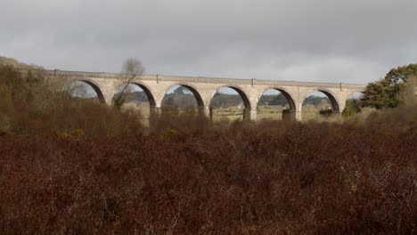 mid shot of carnon viaduct with meadow in foreground