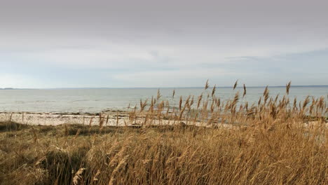 Ein-Windiger-Sturm-Zieht-über-Den-Strand