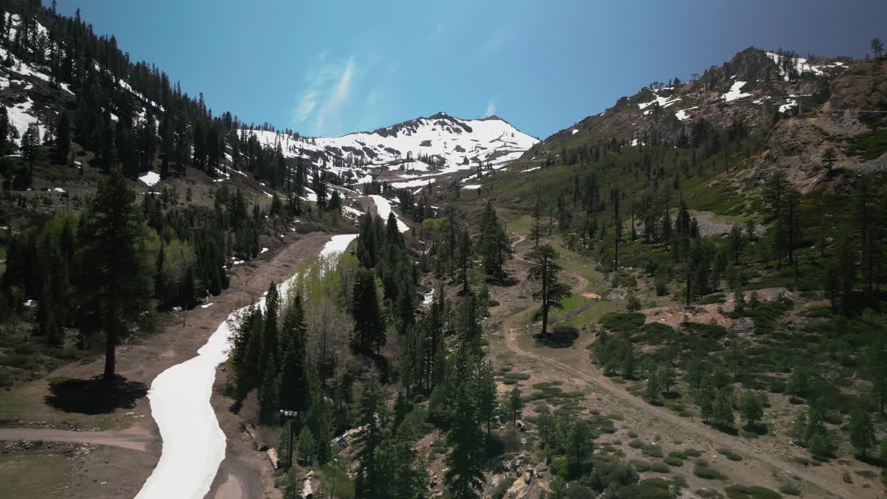 Aerial drone footage flying over dense pine forest at Lake Tahoe, California. Bird's eye view of treetops in Sierra Nevada mountains. Perfect for nature documentaries and California travel content
