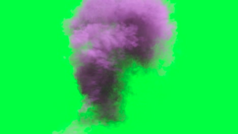 purple smoke cloud on green screen
