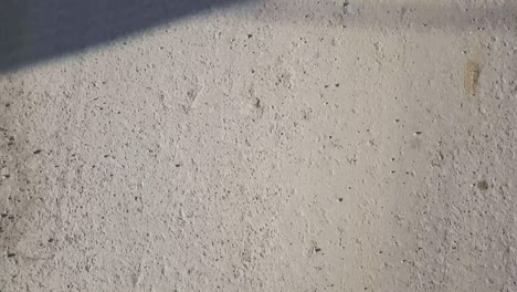 Concrete Floor with Shadows