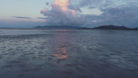 Low-drone-flight-over-mangroves-at-dawn-near-Great-Barrier-reef