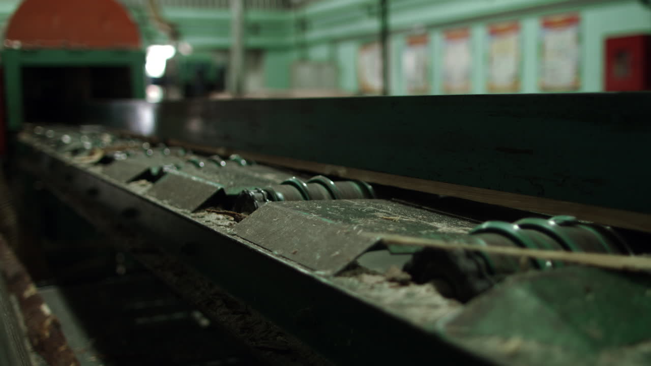 aserradero de banda. línea de producción automatizada para aserrar troncos. línea para trabajar la madera