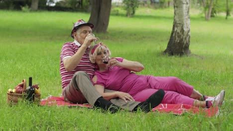 Family-weekend-picnic-in-park.-Senior-old-couple-sit-on-blanket-and-drink-wine.-Making-a-kiss.-Love