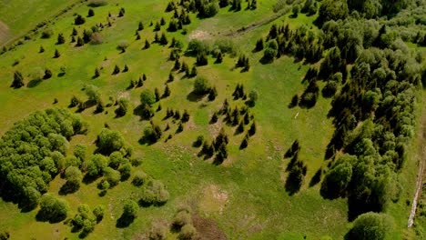 Flying-over-untouched-rare-scarce-forest