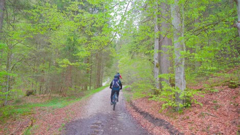 group of mountain bikers riding through the forest