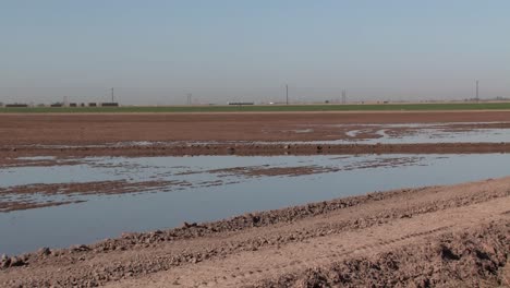 Riego-Por-Inundación-En-El-Sur-De-California,-Estados-Unidos