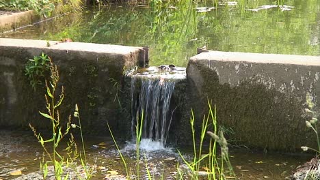 Fluss-Gwash-Fließt-Durch-Ein-Englisches-Dorf-Im-Vereinigten-Königreich