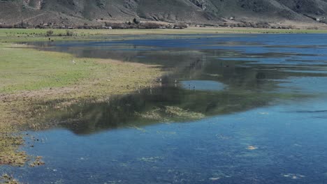 Aerial-view-of-artificial-lake-La-Angostura,-Birds-in-nature-reserve