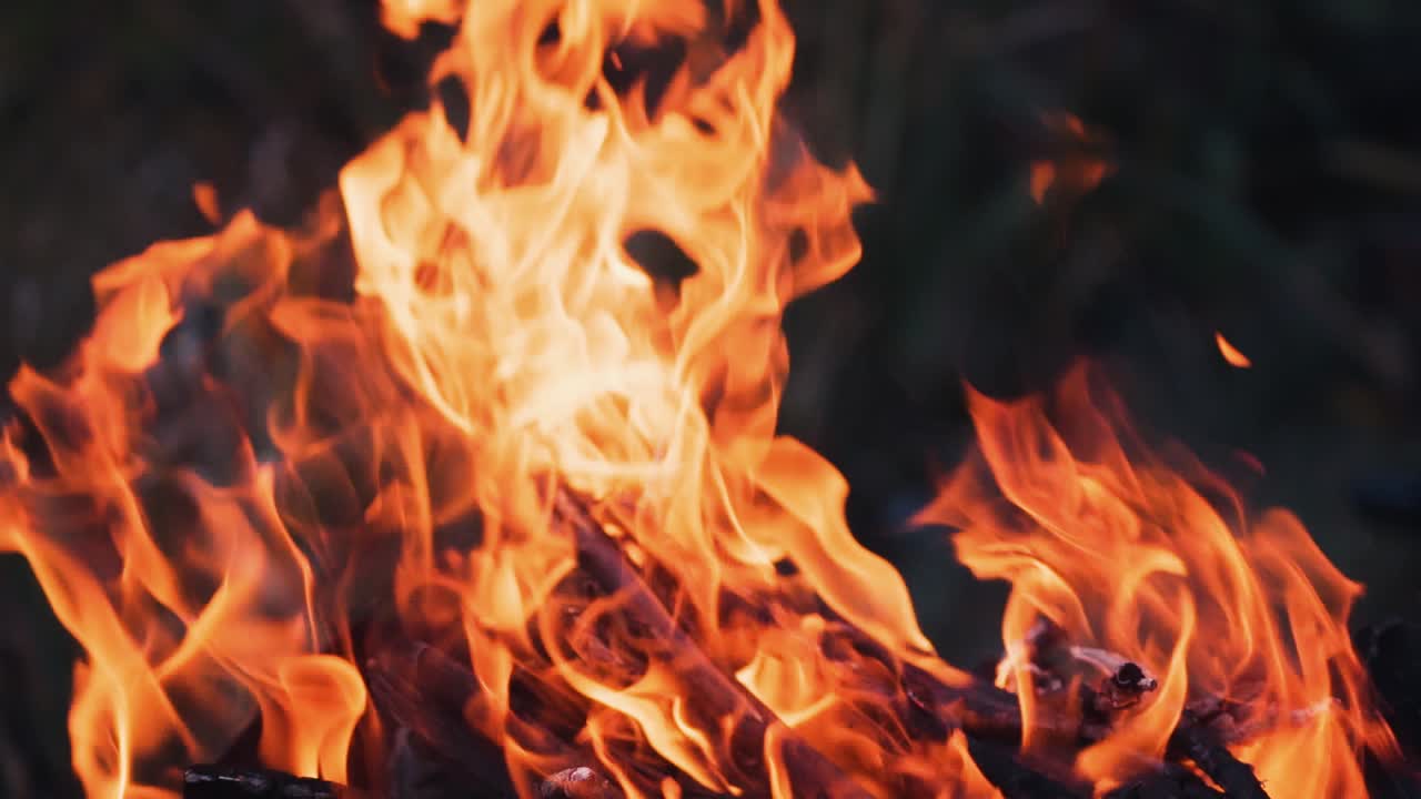 Bonfire. The fire is lit in the night. Slow motion