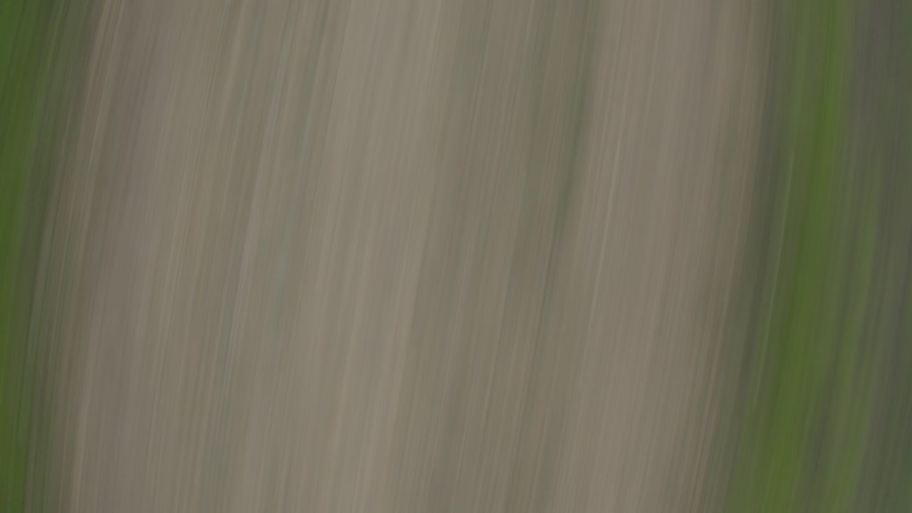 hierba verde y suelo arenoso moviéndose a gran velocidad, toma abstracta de drones