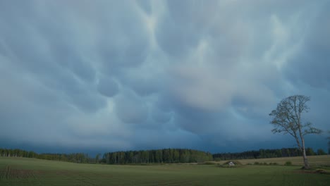 mammatus nubes de tormenta en la luz del atardecer de verano