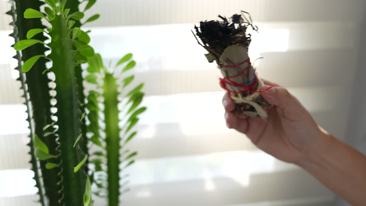 緑の観葉植物の近くでセージの束を持つ手のクローズアップ。構図は質感と細部を強調し、柔らかな自然光と穏やかな雰囲気に引き立てられている。